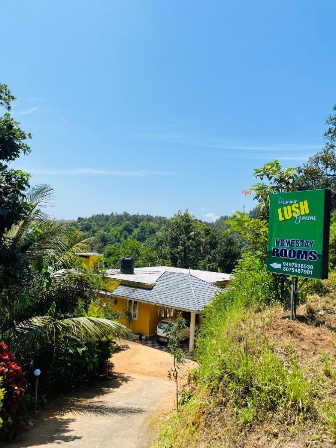 Lush Greens * Munnar