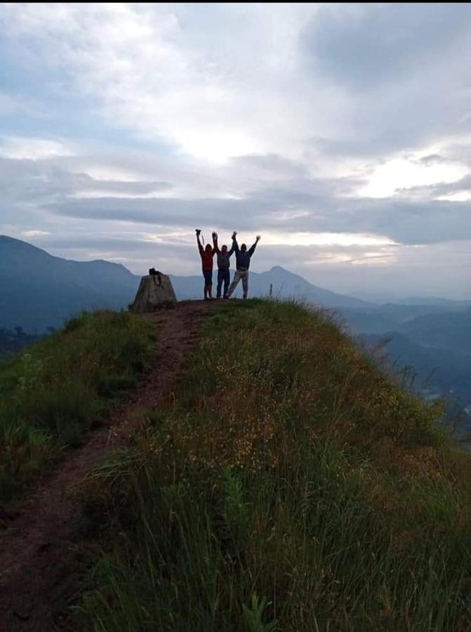 Lush Greens * Munnar