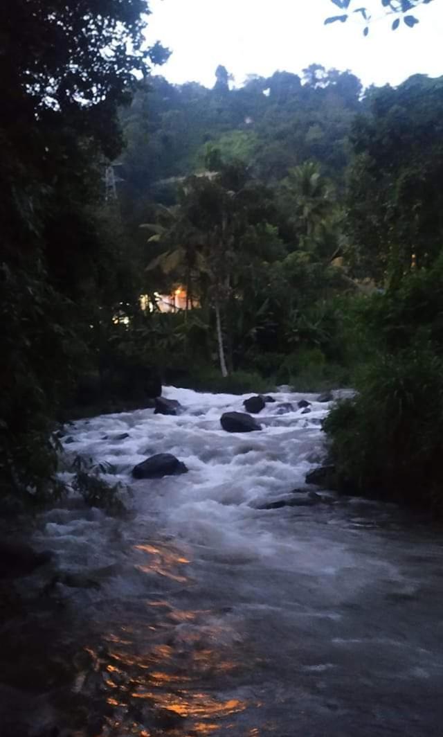 Homestay Lush Greens