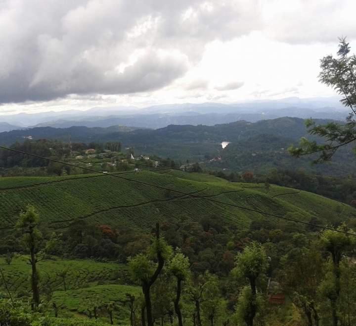 Lush Greens Homestay